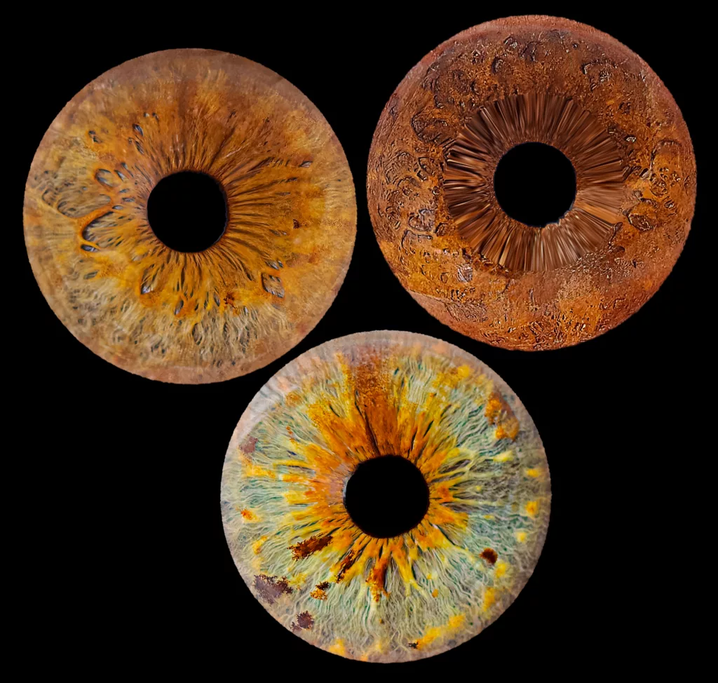 3 iris