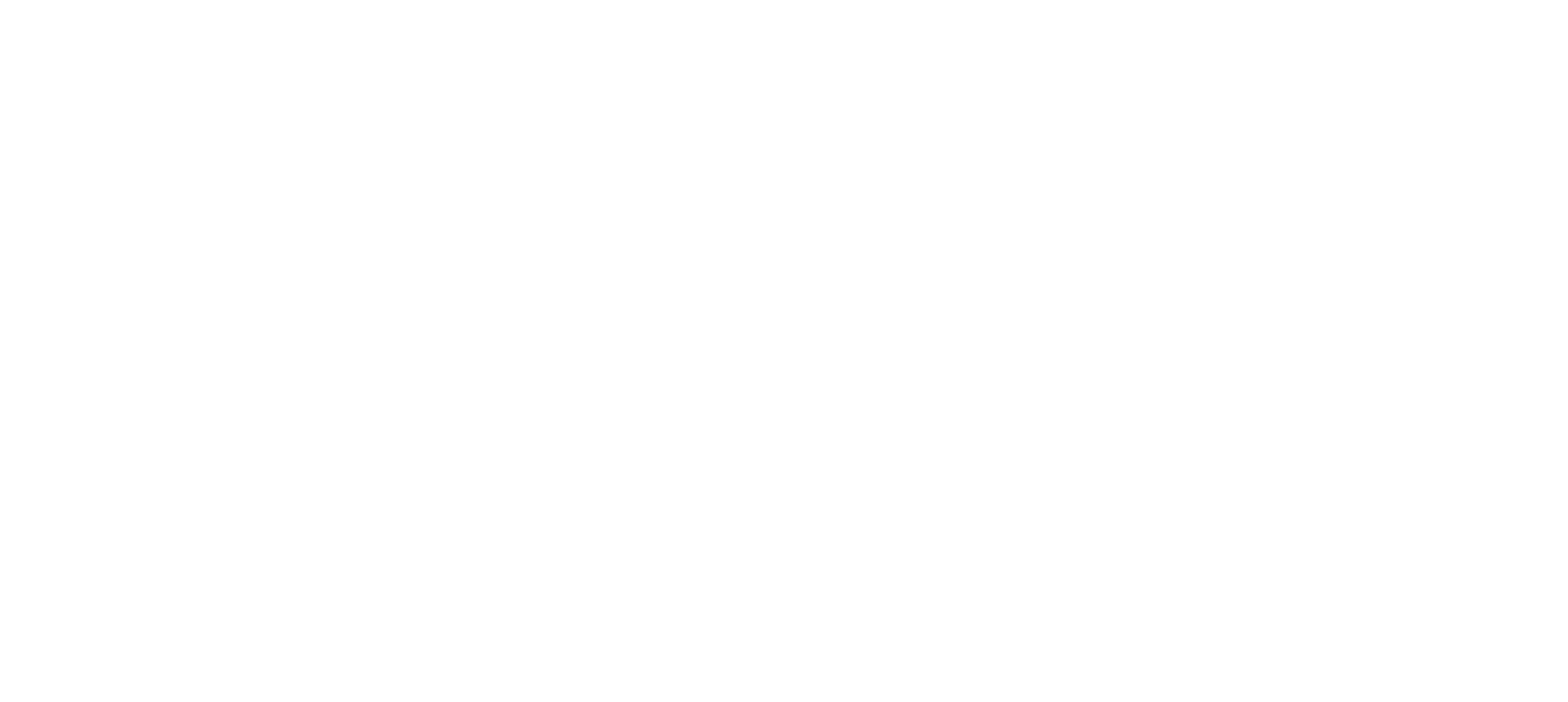 LOGO BLANC NATHALIE LECOQ PHOTOGRAPHIE